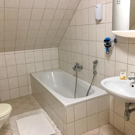 Goesser Bachgasslhof -- Bed And Breakfast -- Apartments Leoben  Extérieur photo